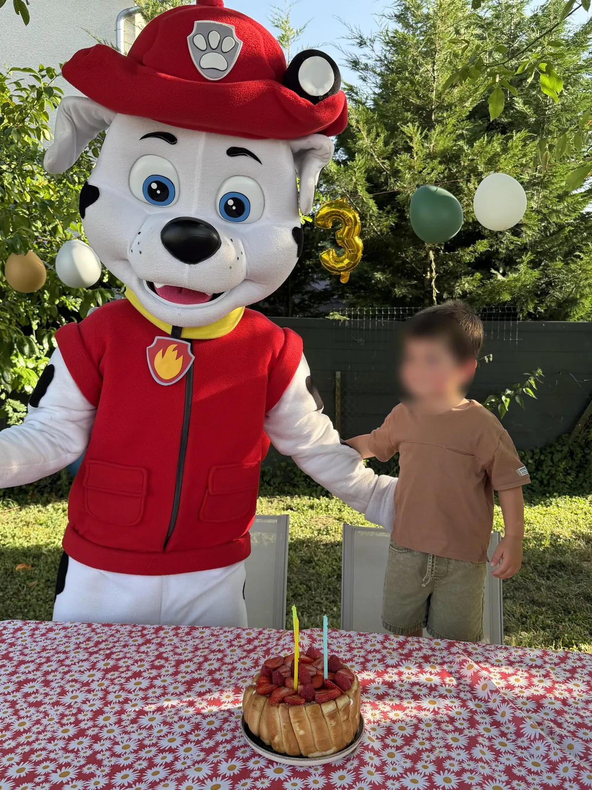 Mascotte Marcus de la Pat' Patrouille au gâteau d'anniversaire
