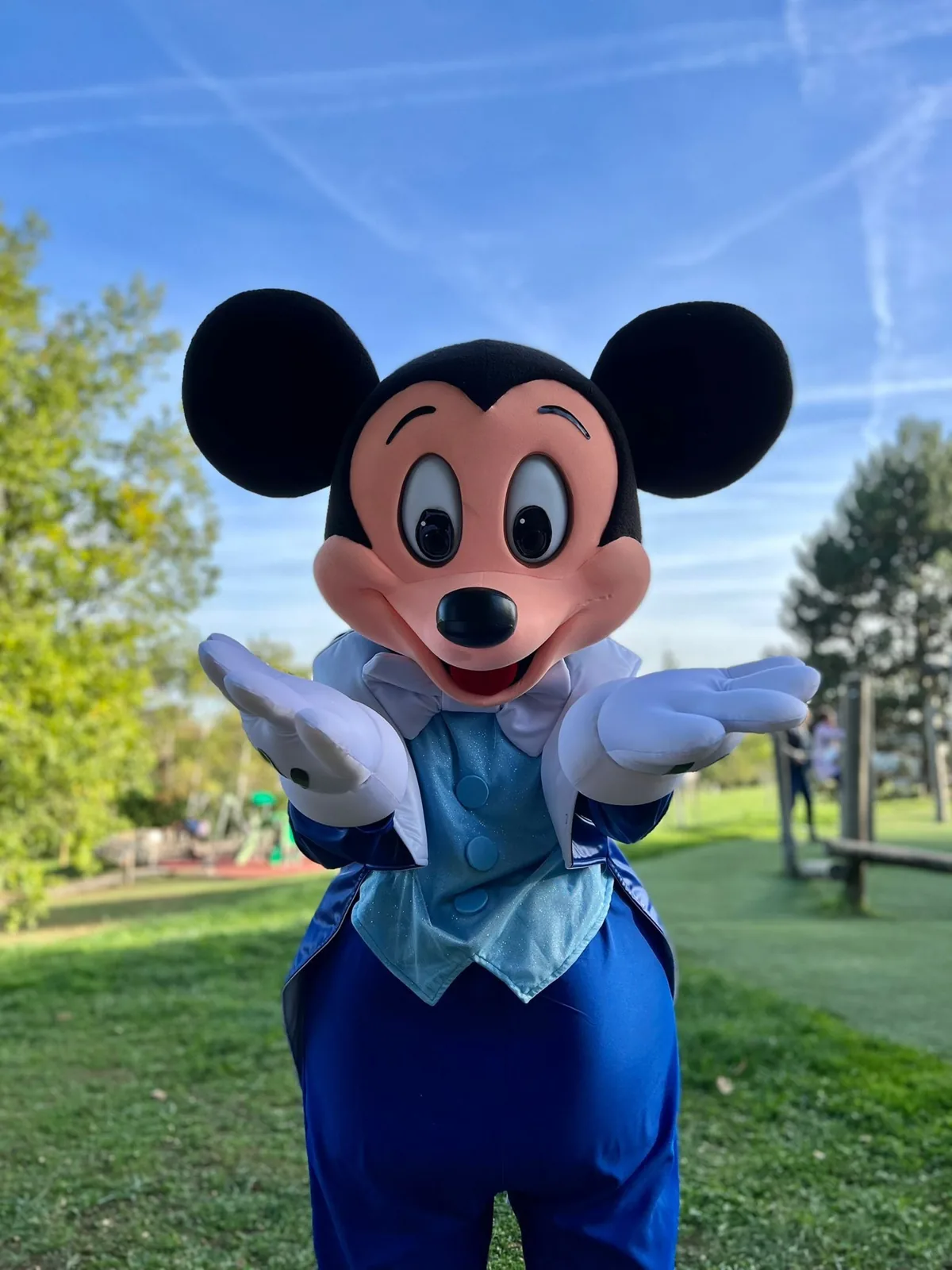 Mascotte Mickey à louer