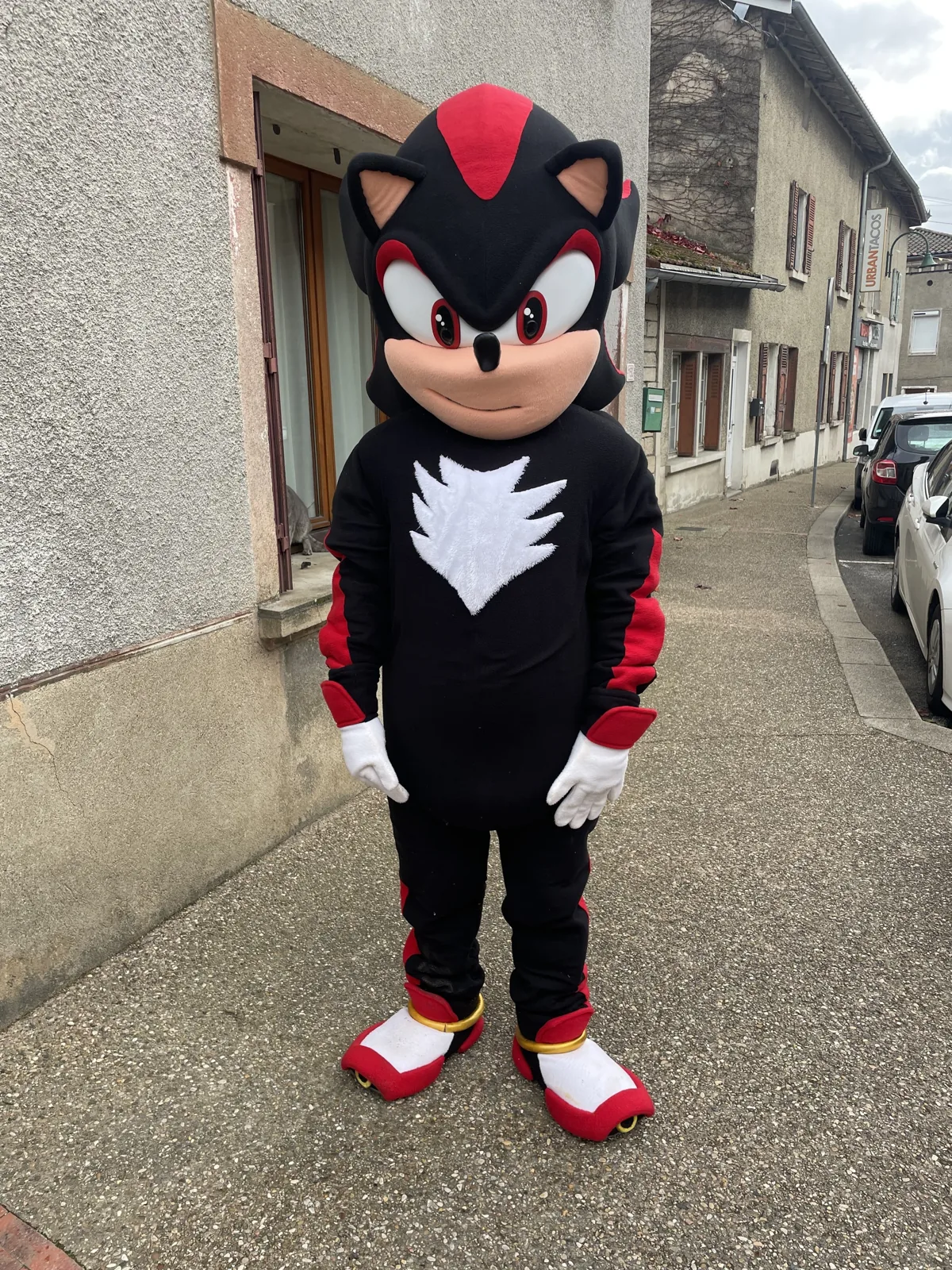 Mascotte Shadow à louer